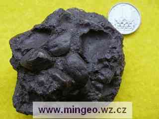 Stromatolity zapříčinily vznik některých ložisek
 železných rud